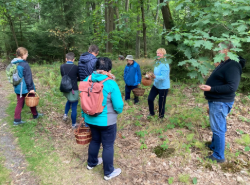 Snímek obrazovky 2025-12-22 163447